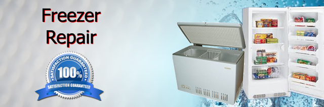 Freezer Repair